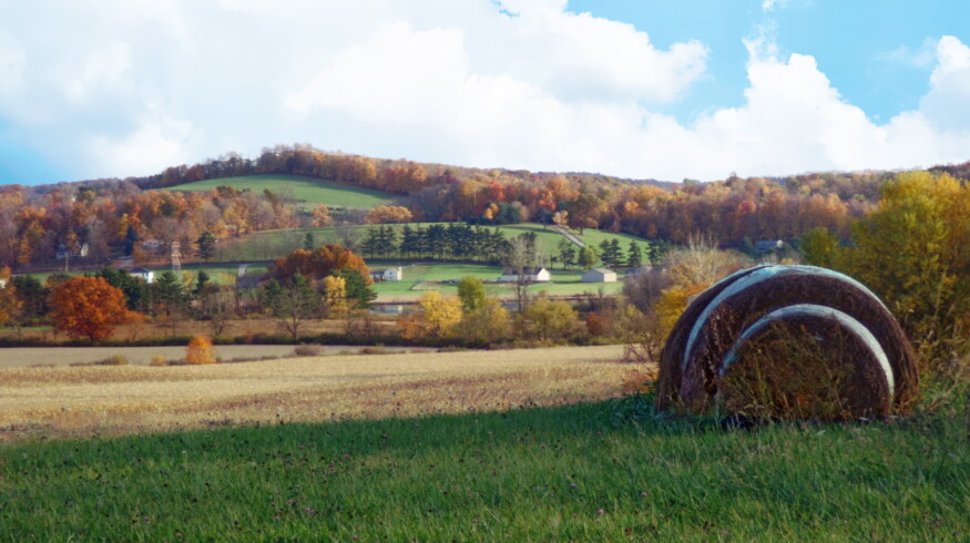Ohio faces ‘new benchmark for dry’ as drought impacts 2024 crop yields