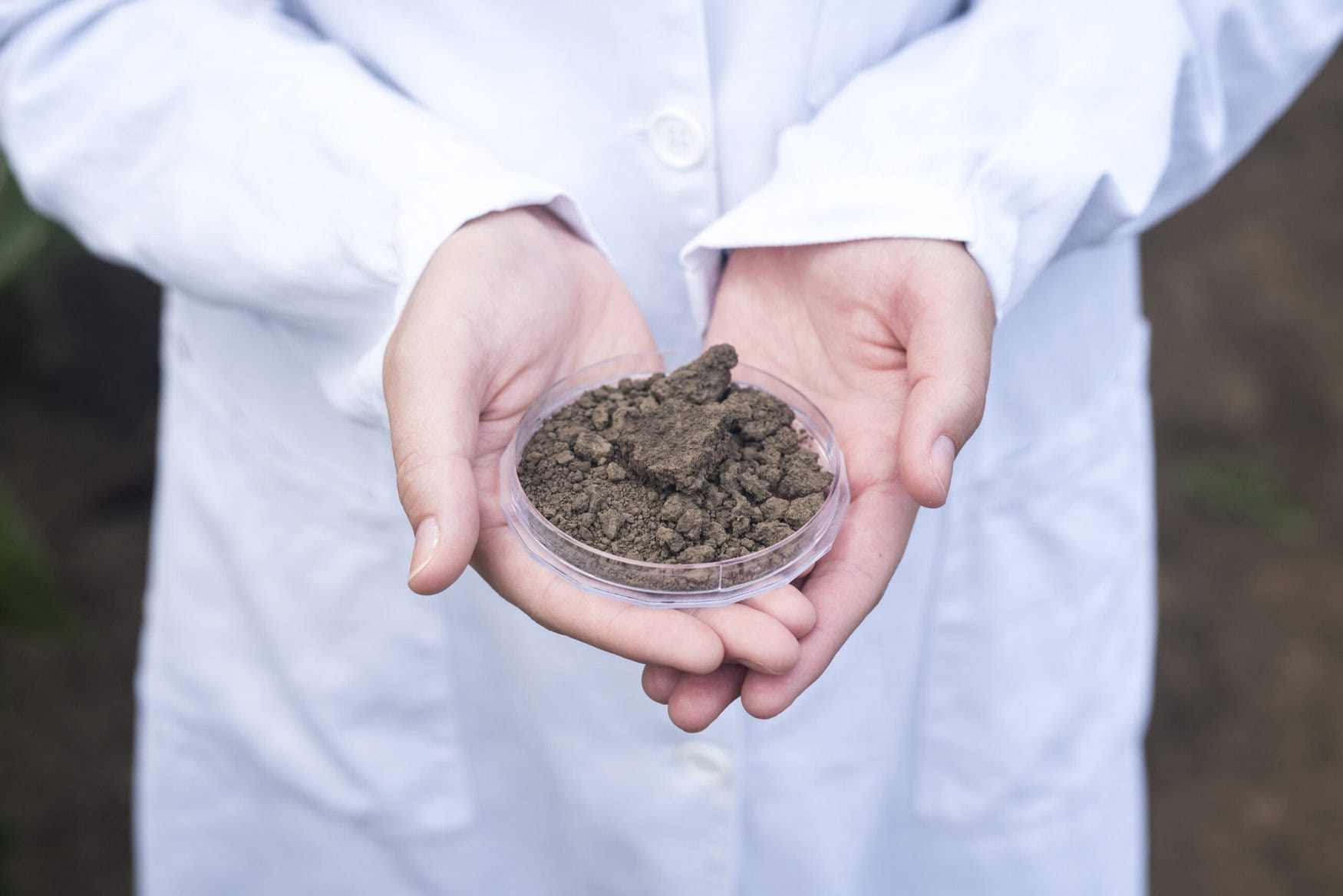 Scientist holding soil sample for testing in the field. Laboratory examination for soil fertility and food production.