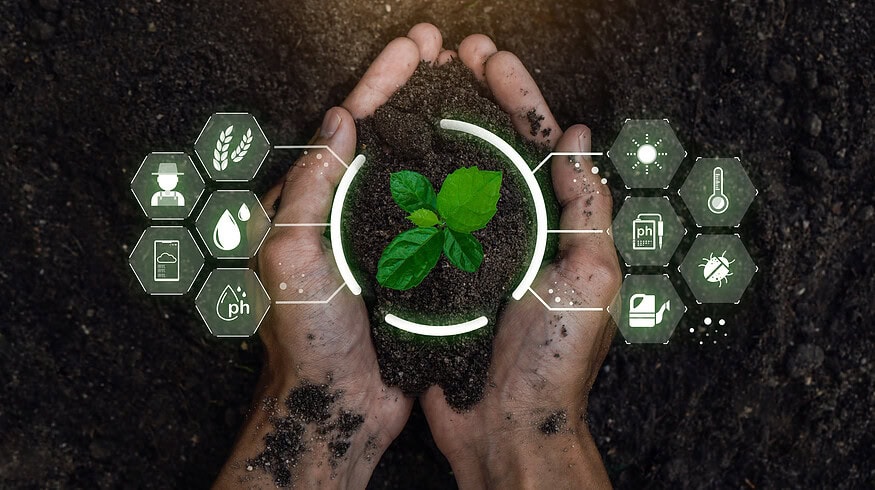 AI revolutionizes farming practices in Kenya