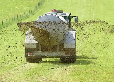 Researchers find new link between organic farming and carbon storage
