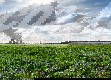 IFA and Proba introduce global initiative to reduce greenhouse gases in agriculture