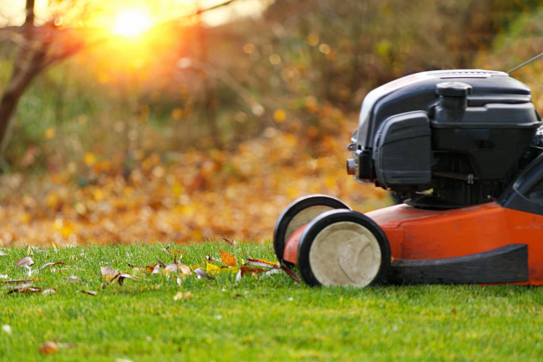 The best lawn mowers of 2024 ranked