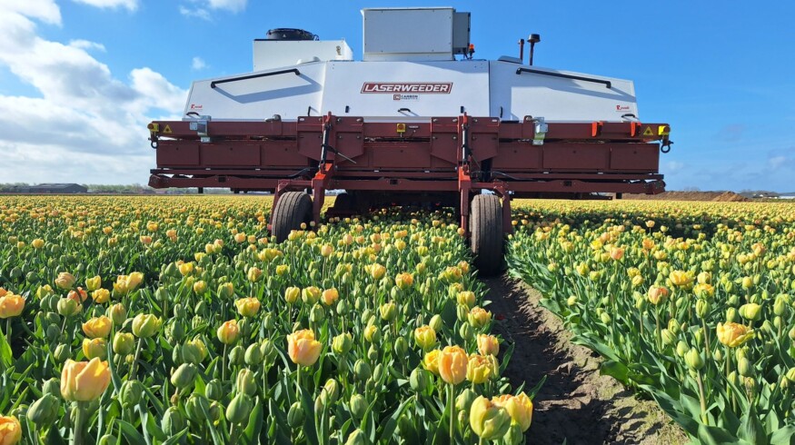 Carbon Robotics secures $70 million in Series D funding to enhance agricultural robotics