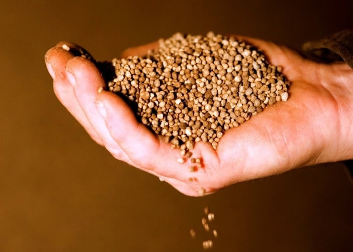 Phosphorus fertilizer ranking