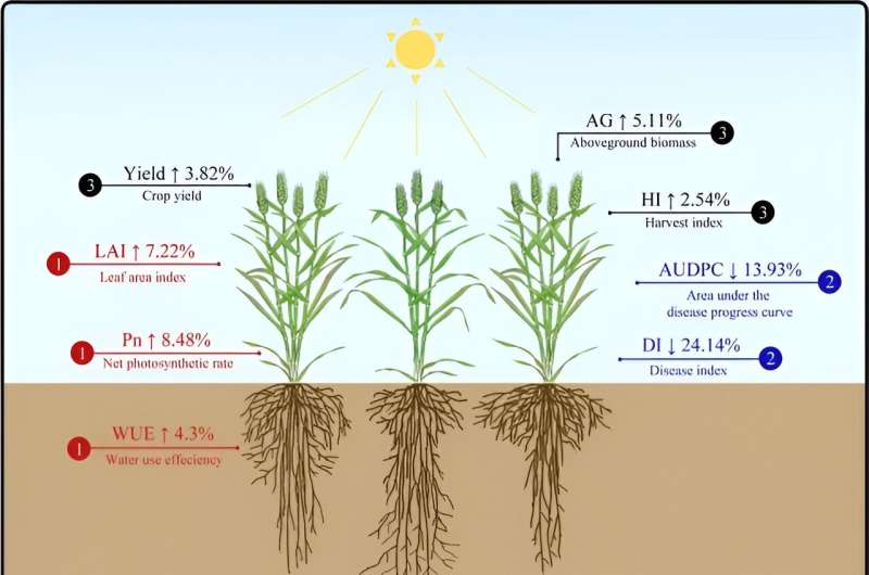 Harnessing plant diversity reduces pesticide need — study