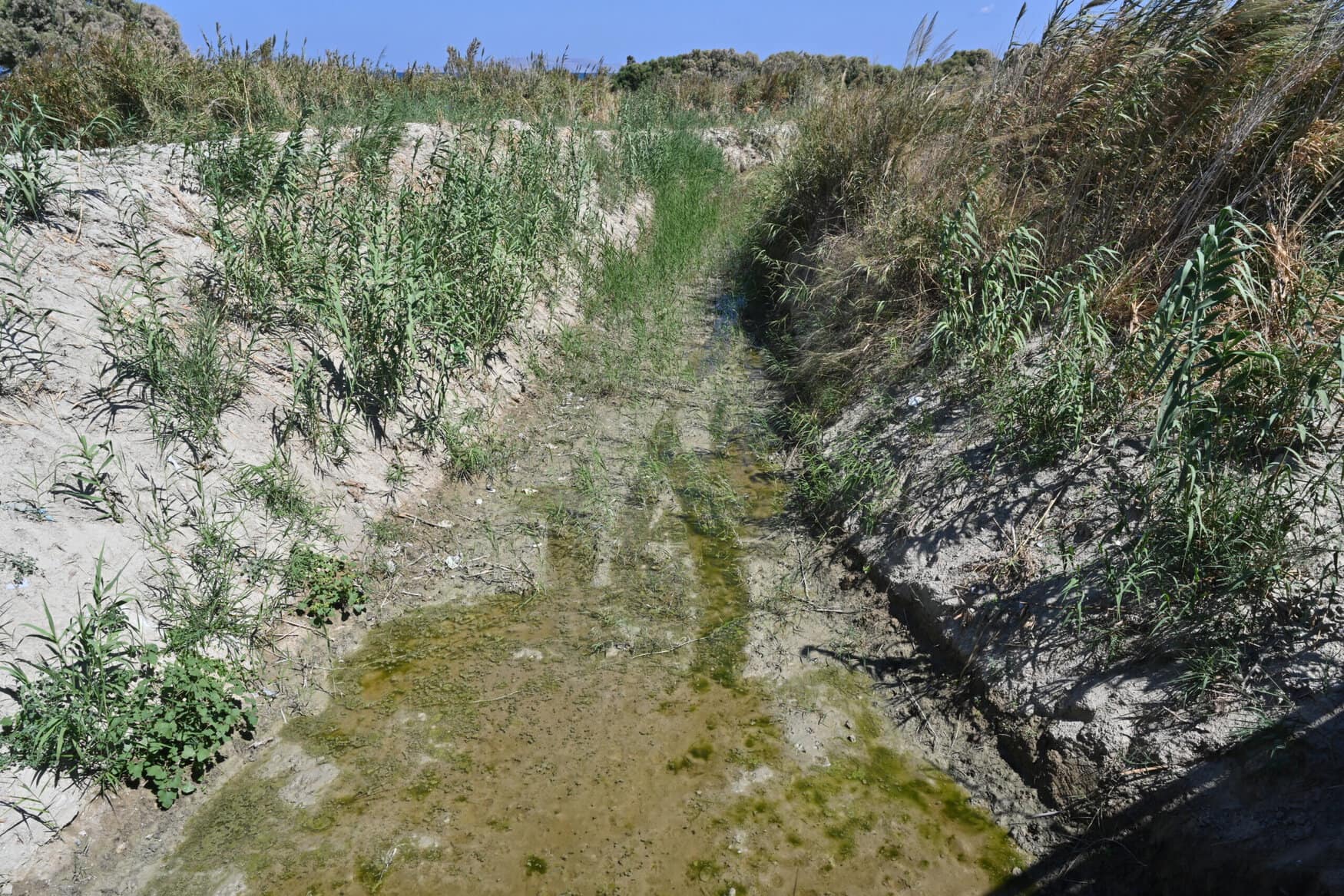 UPL’s TOP DECK herbicide gains California approval for aquatic vegetation control