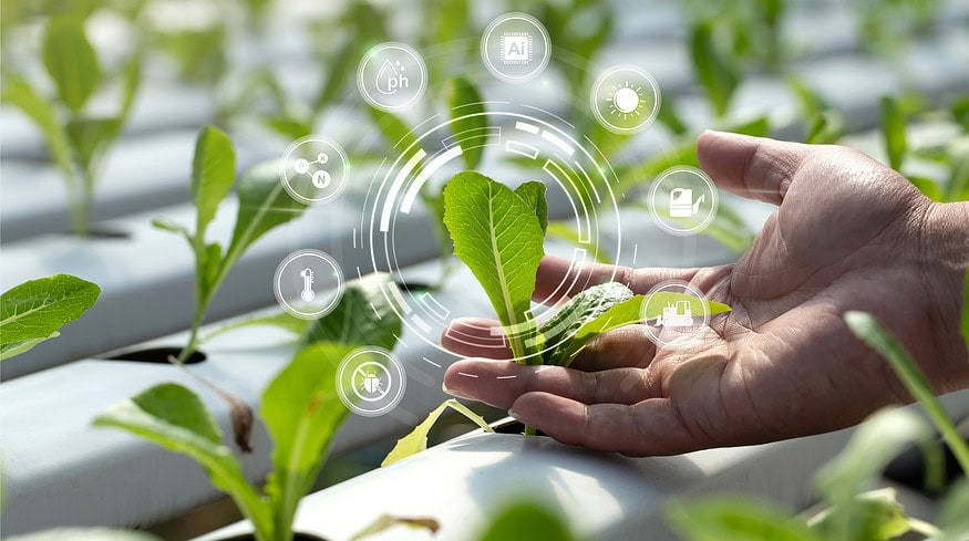 City farms may lead the future of high-tech agriculture