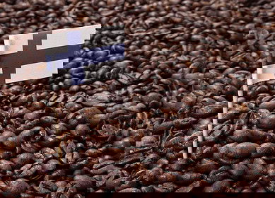 Finland’s model for coffee waste recycling: from grounds to green