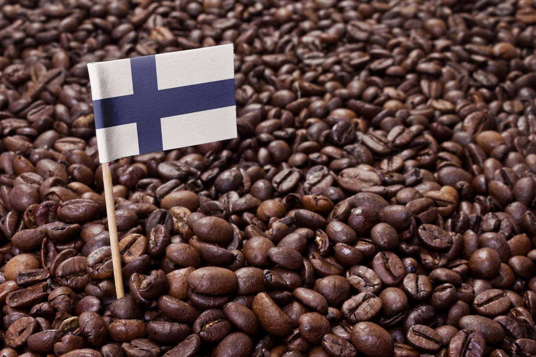Finland’s model for coffee waste recycling: from grounds to green