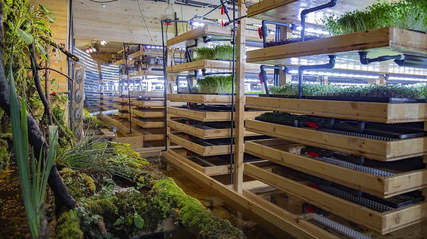 Umami expands microgreens farming with $4.6 million funding round