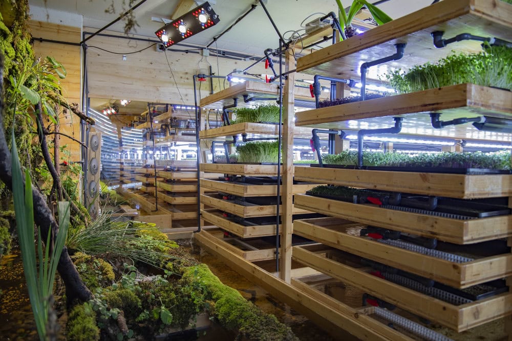 Umami expands microgreens farming with $4.6 million funding round