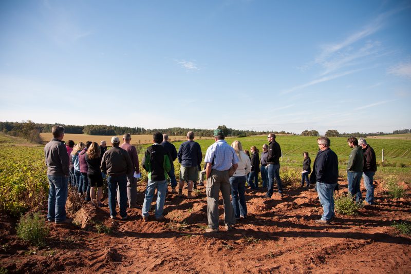 Fertilizer Canada presses Ottawa for labor policy reform after port standstill