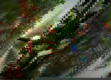 Four Growers develops robots to address greenhouse labor shortages