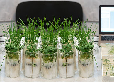 Expanding agricultural genomics: Solis adds Ferris bioinformatics platform