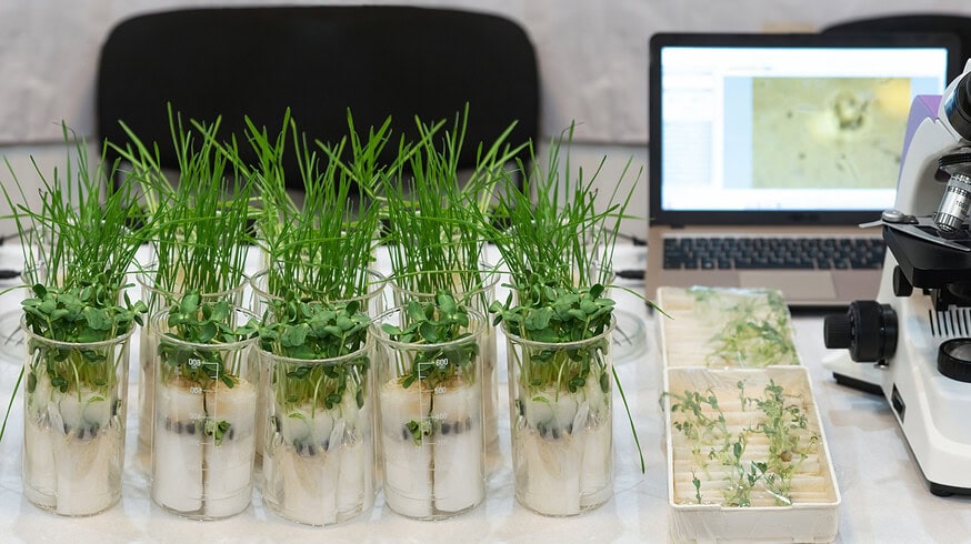 Expanding agricultural genomics: Solis adds Ferris bioinformatics platform