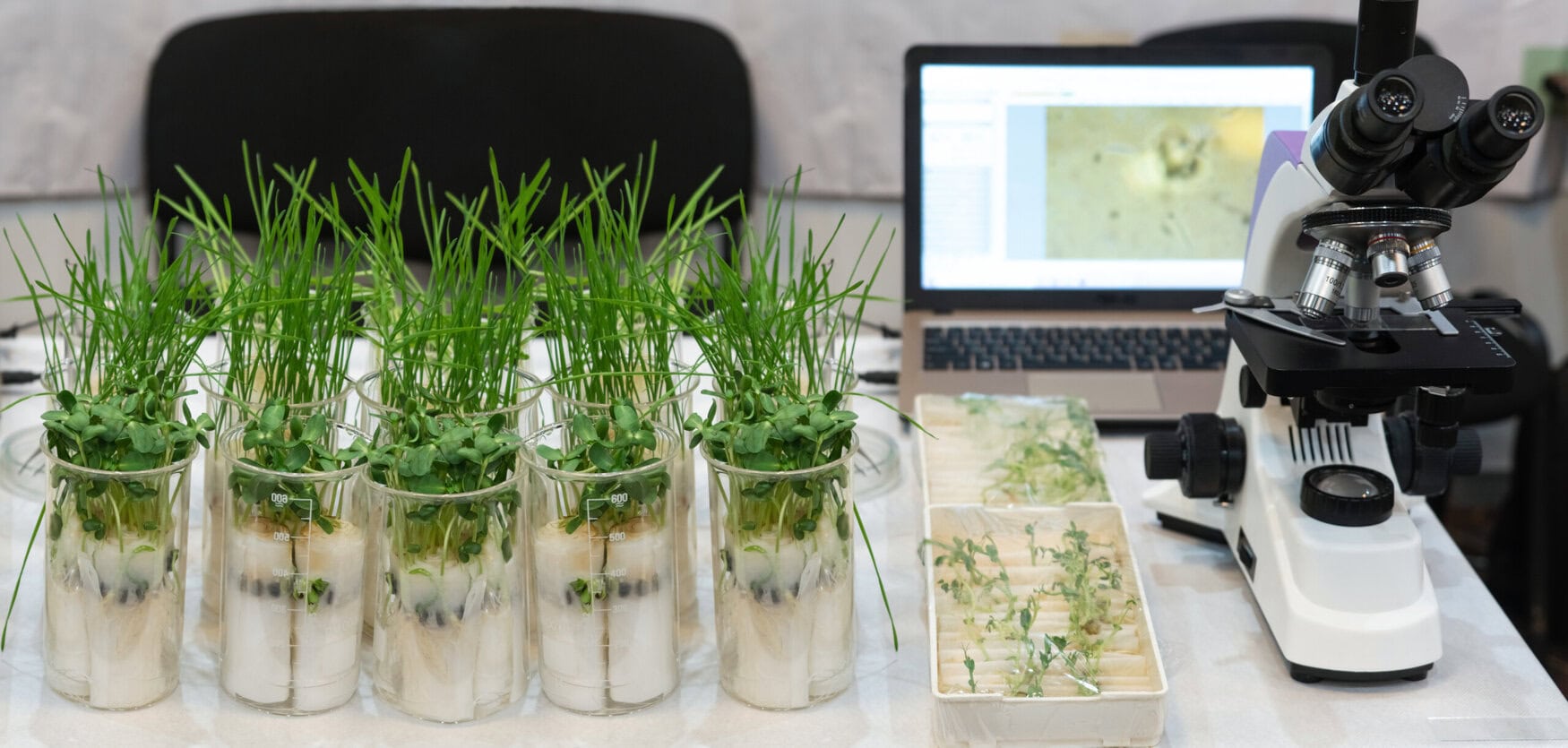 Expanding agricultural genomics: Solis adds Ferris bioinformatics platform