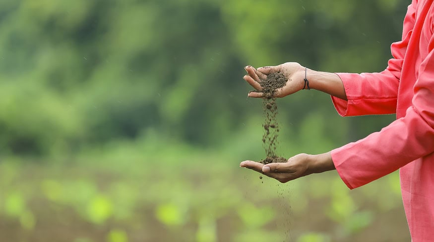 India’s US$20-billion fertilizer subsidies inadvertently encourages overuse of fertilizers
