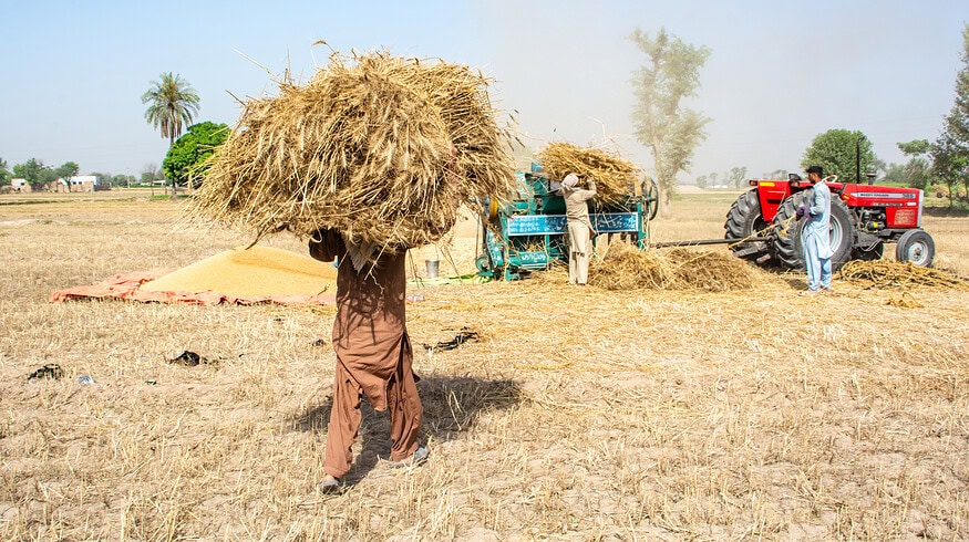 Pakistan provided $270 million in interest-free loans to support 500,000 farmers