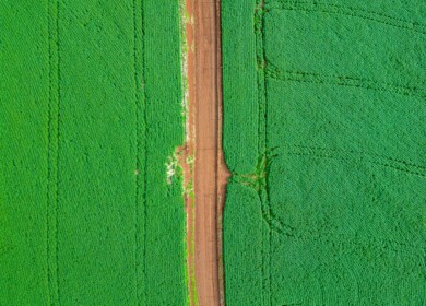 Cromai unveils app for enhanced weed monitoring in Brazil