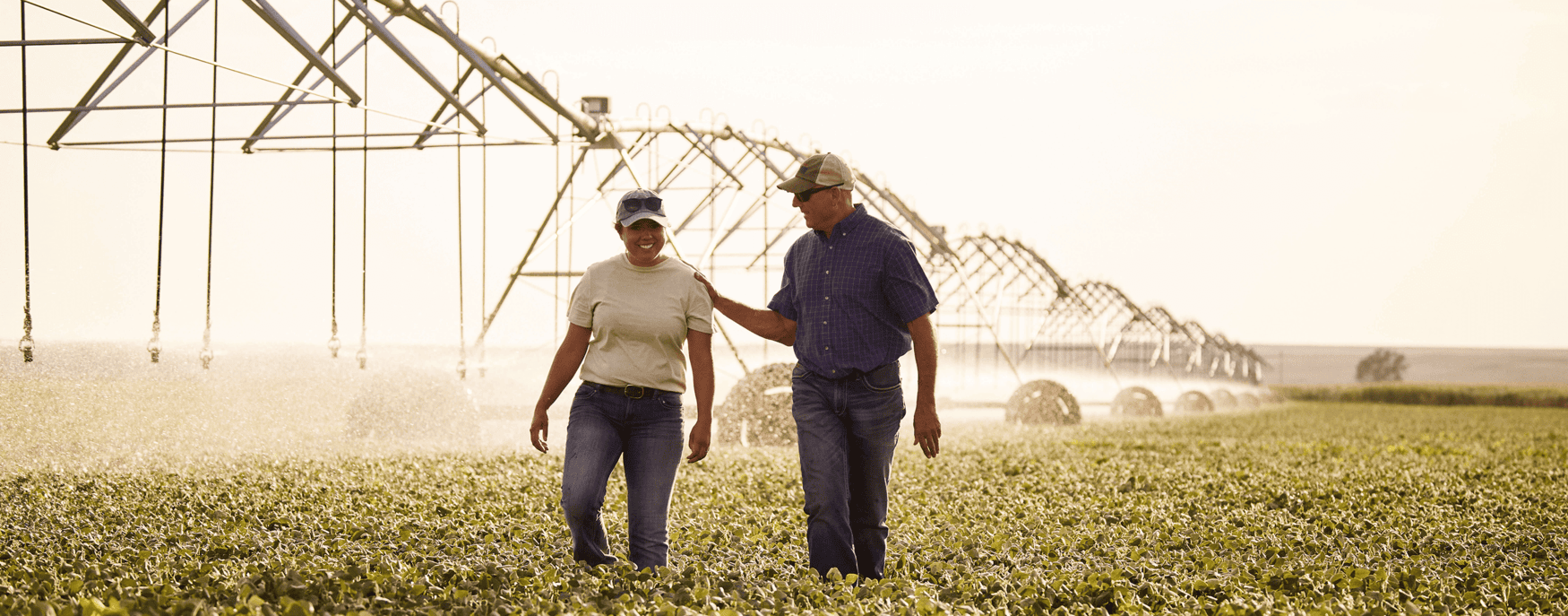 How Land O’Lakes is using AI to revolutionize farming practices