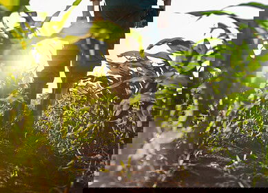 How to improve soil health through organic methods that align with regenerative farming principles?