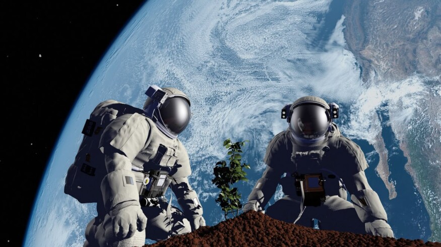 Lunaria One secured the place on a 2025 space mission to study plant growth on the moon