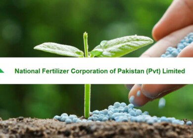 Pakistan’s National Fertilizer Corporation poised for privatization