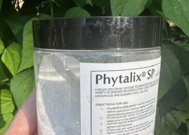 Source Agriculture invests in Ascribe Bioscience to develop eco-friendly alternatives