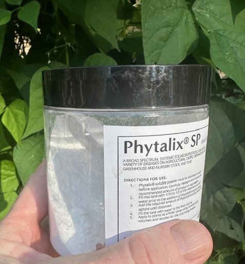 Source Agriculture invests in Ascribe Bioscience to develop eco-friendly alternatives