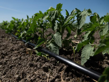 Rivulis’ new drip line offers promise for high-yield crops on difficult landscapes