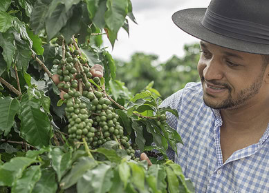 Yara’s low-emission fertilizers make headway in Brazil’s coffee sector