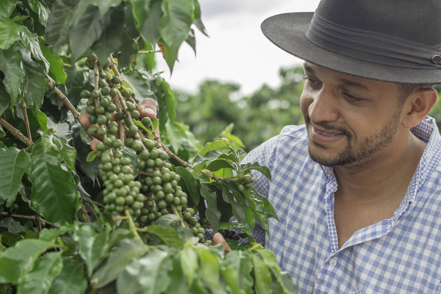Yara’s low-emission fertilizers make headway in Brazil’s coffee sector