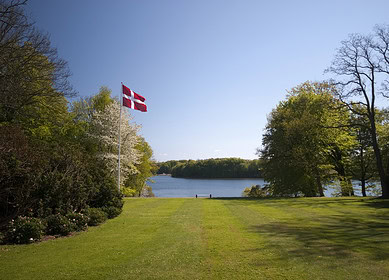 Denmark’s $6.1 billion investment plan to reforest farmland and cut emissions