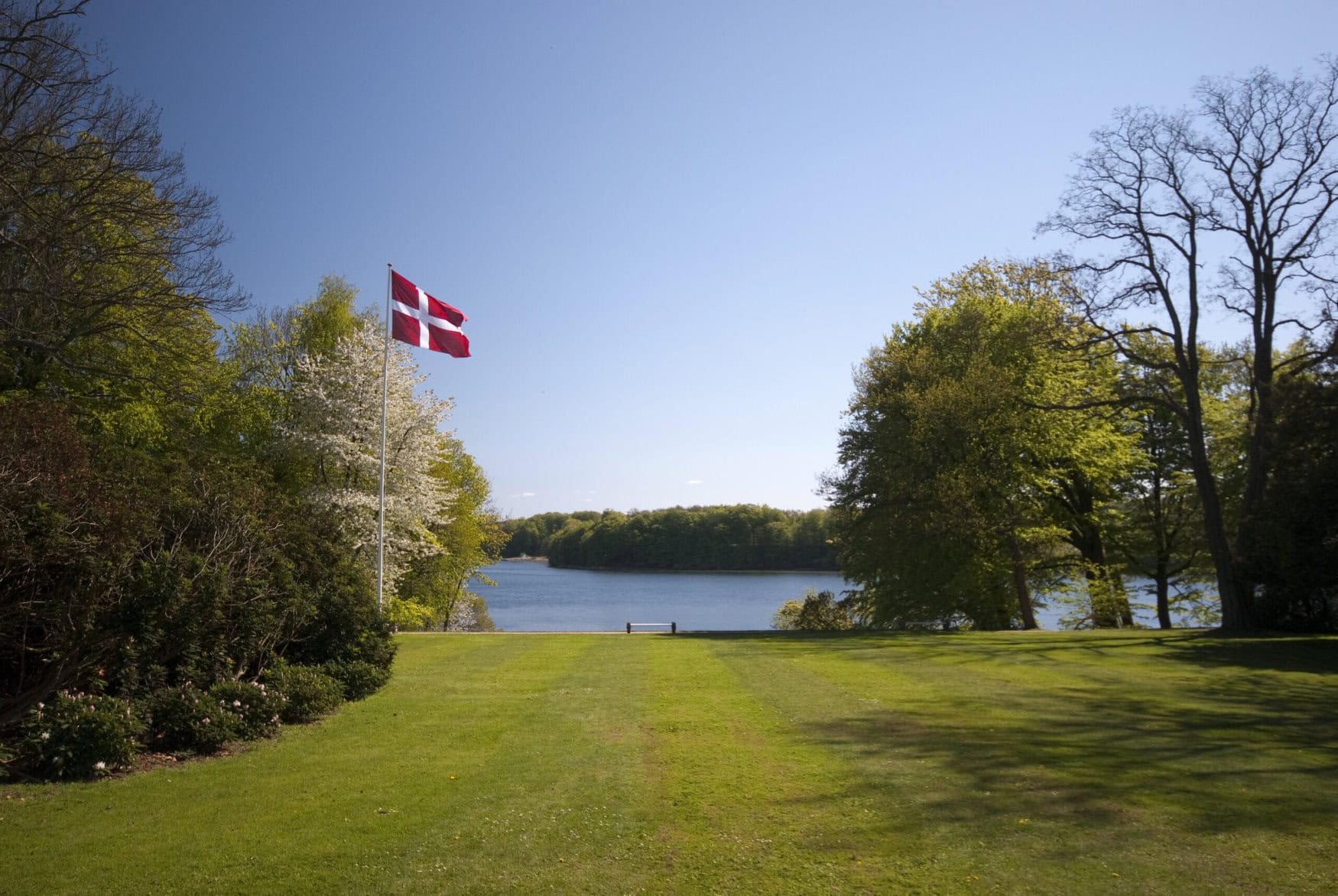 Denmark’s $6.1 billion investment plan to reforest farmland and cut emissions