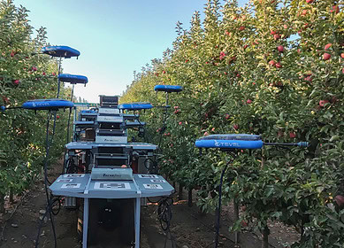 Israeli startup Tevel revolutionizes fruit harvesting with flying autonomous robots