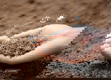 Researchers say bio-based fibers may harm environment more than conventional plastics