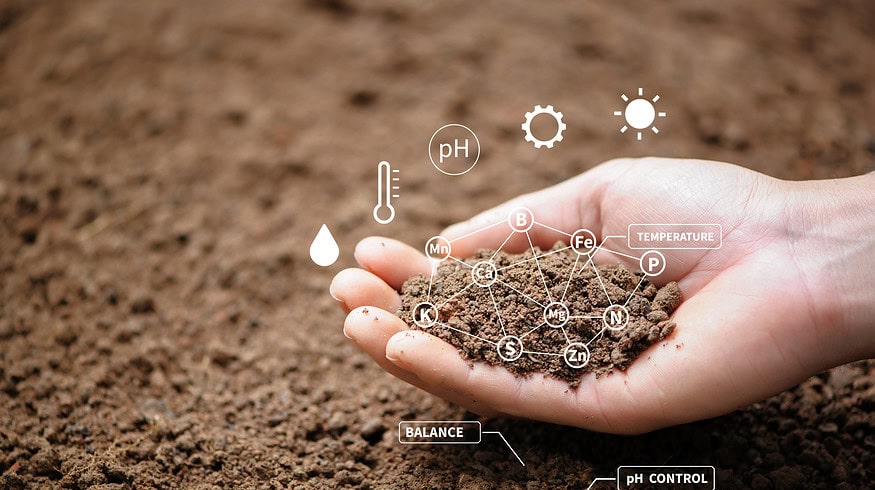 Researchers say bio-based fibers may harm environment more than conventional plastics