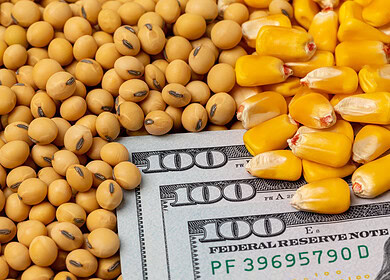 U.S. won a trade dispute against Mexico on imports of genetically modified corn