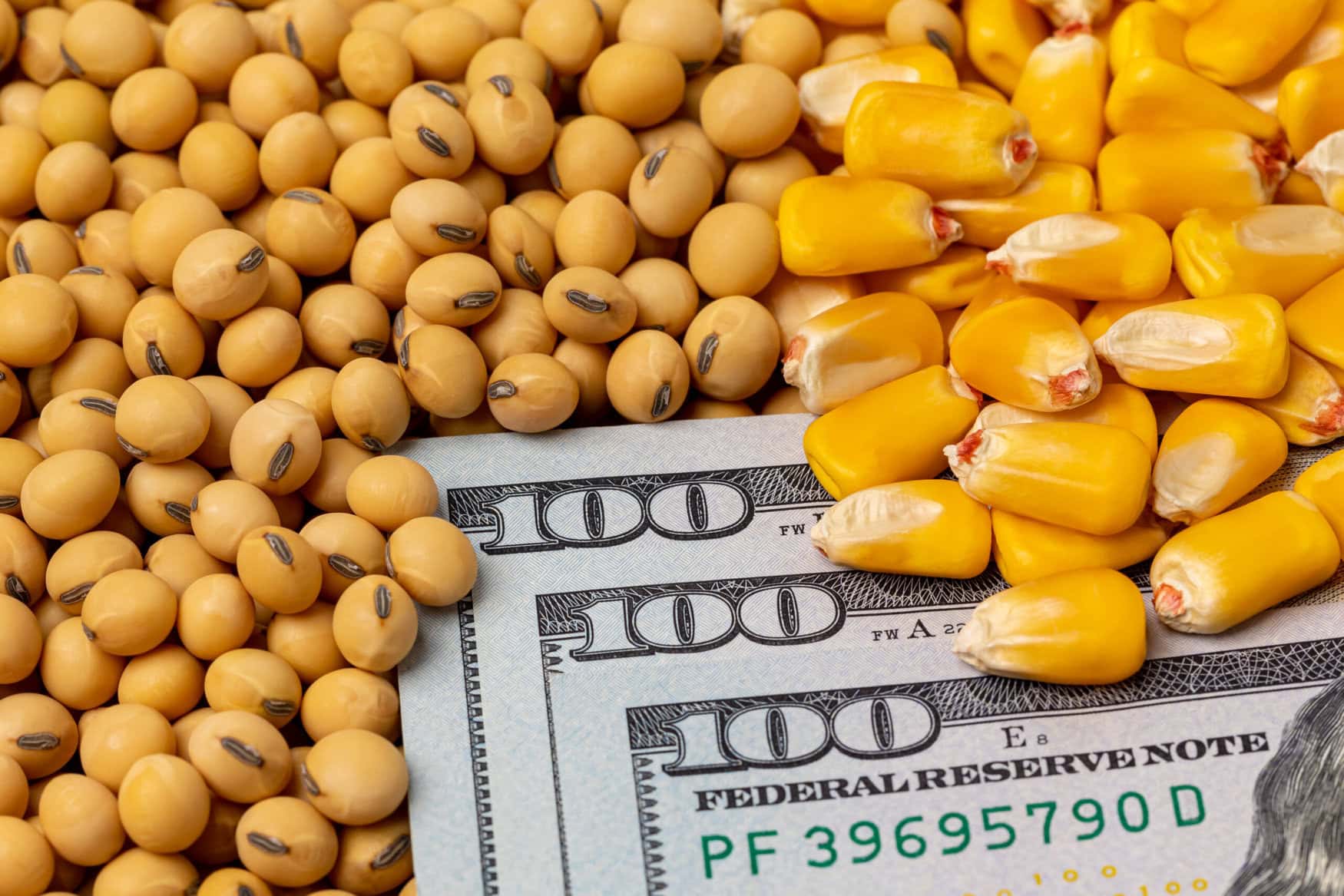 U.S. won a trade dispute against Mexico on imports of genetically modified corn
