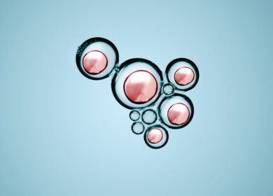 Nanopesticide delivery system made with neem seed extract improves pesticide effectiveness