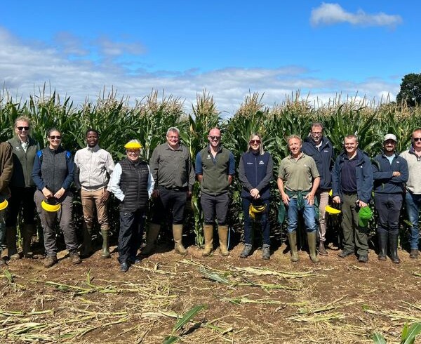 Corteva unveils Broadway Ultra herbicide for 2025 season