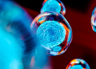 Bio-based coatings can make fertilizers more sustainable