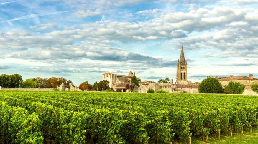 French agriculture is at risk according to local farmer’s association