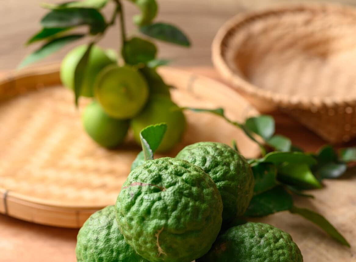 Essential tips for growing kaffir lime leaves at home — Fertilizer Daily