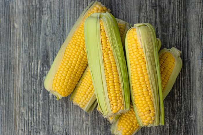 How to grow and care for corn for plentiful harvest