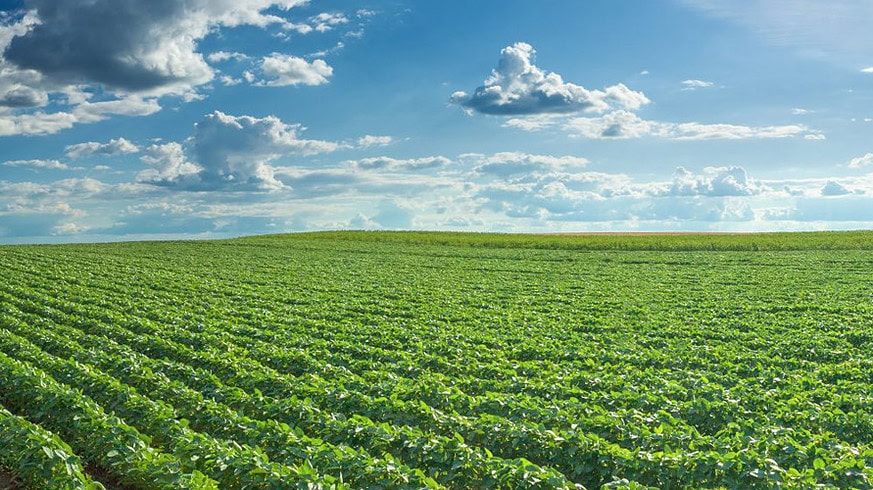 Nufarm announces leadership transition alongside biofuel innovation partnership with bp