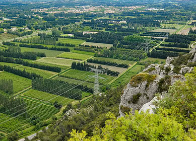 Syngenta and xFarm use AI to revolutionize French farming