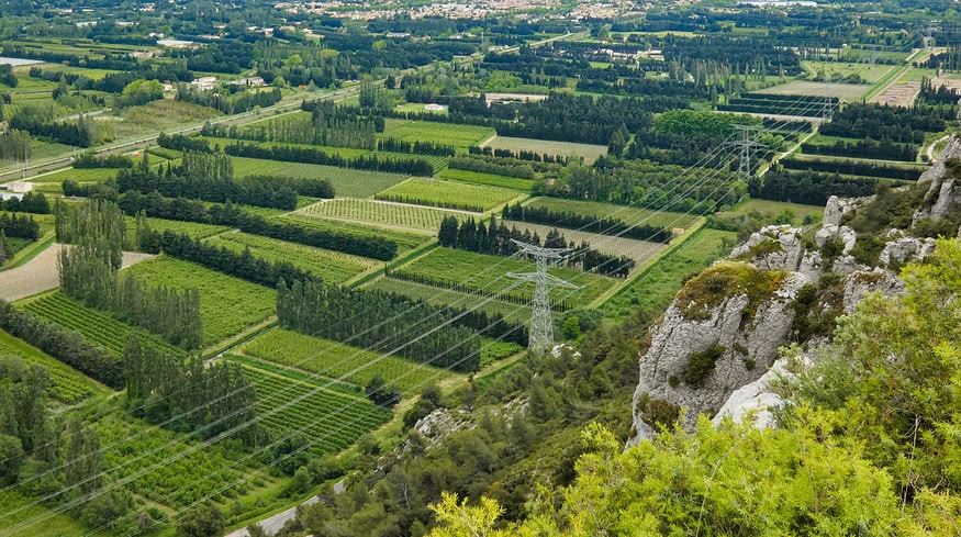 Syngenta and xFarm use AI to revolutionize French farming