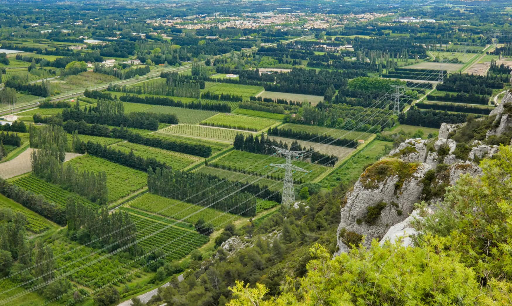 Syngenta and xFarm use AI to revolutionize French farming