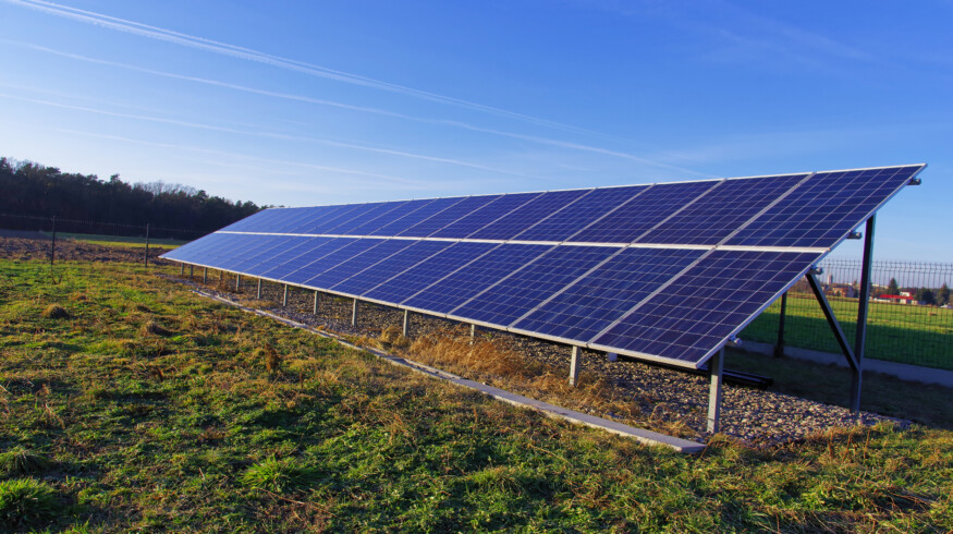 Agrivoltaics: A promising hybrid of agriculture and solar energy